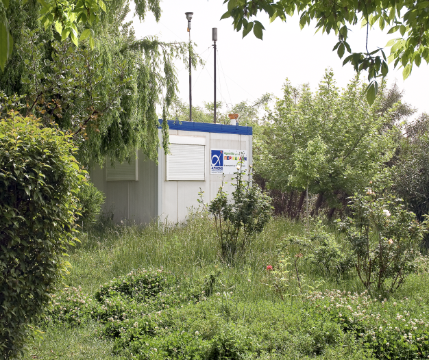 Trees at Athens International Airport